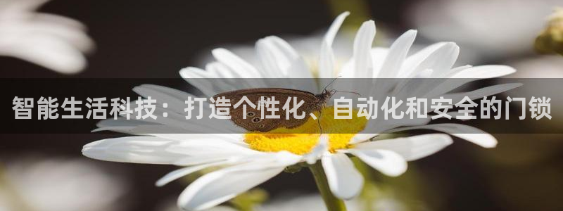 圩丰刚开的娱乐场所：智能生活科技：打造个性化、自动化和安全的
