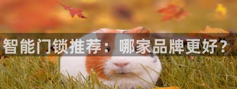 开丰娱乐上：智能门锁推荐：哪家品牌更好？