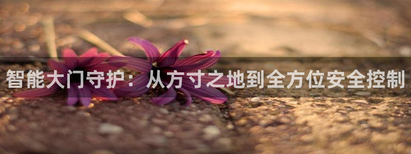 开丰娱乐平台地址查询：智能大门守护：从方寸之地到全方位安全控