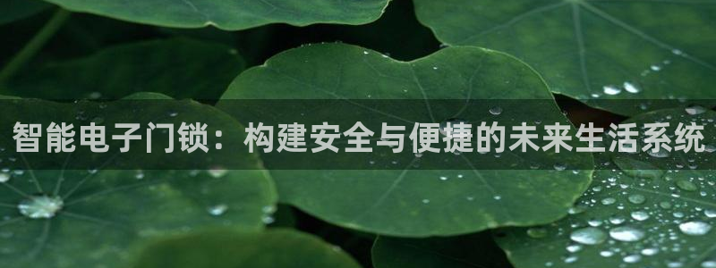 开丰娱乐官网平台：智能电子门锁：构建安全与便捷的未来生活系统