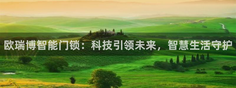开丰娱乐天：欧瑞博智能门锁：科技引领未来，智慧生活守护