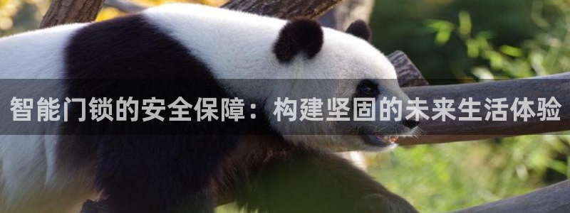 开丰娱乐网站官网入口：智能门锁的安全保障：构建坚固的未来生活