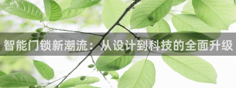 开丰娱乐姜333OO：智能门锁新潮流：从设计到科技的全面升级
