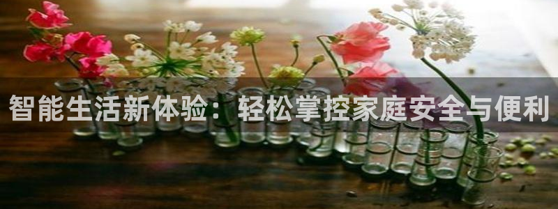 开丰娱乐注册登录：智能生活新体验：轻松掌控家庭安全与便利