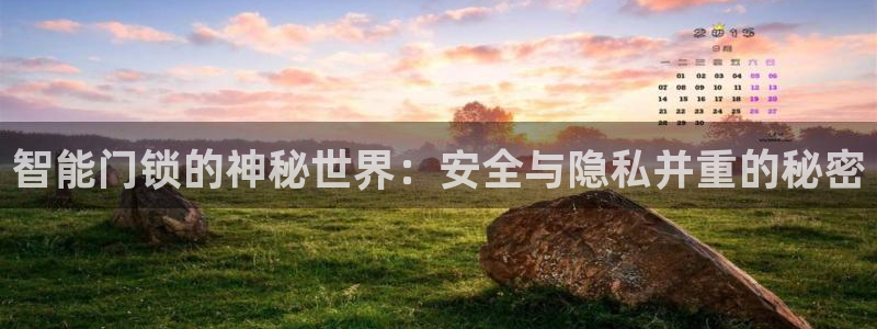 开丰娱乐登入地址在哪查：智能门锁的神秘世界：安全与隐私并重的