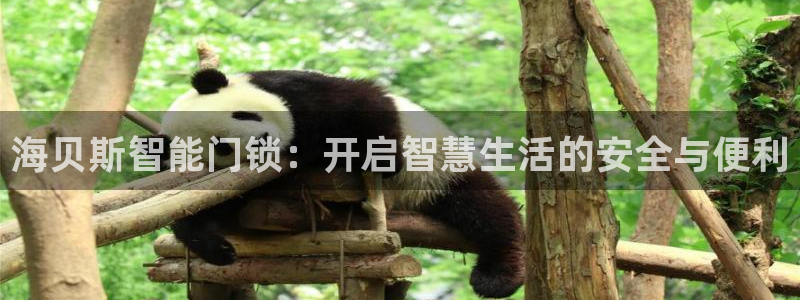 开丰娱乐靠谱吗：海贝斯智能门锁：开启智慧生活的安全与便利