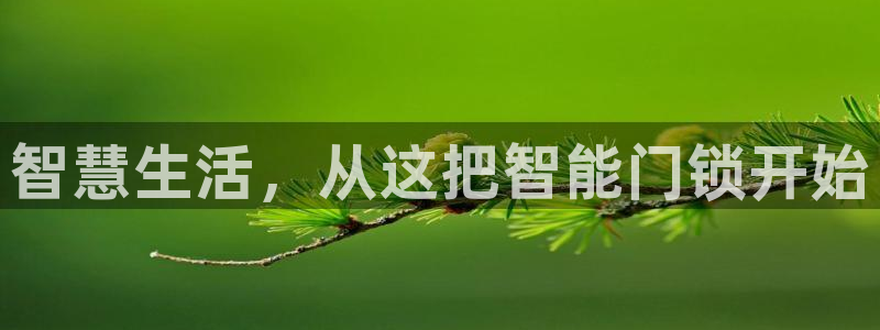 开丰娱乐登录网址：智慧生活，从这把智能门锁开始