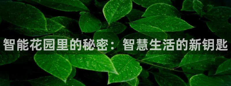 开丰娱乐后7O667：智能花园里的秘密：智慧生活的新钥匙