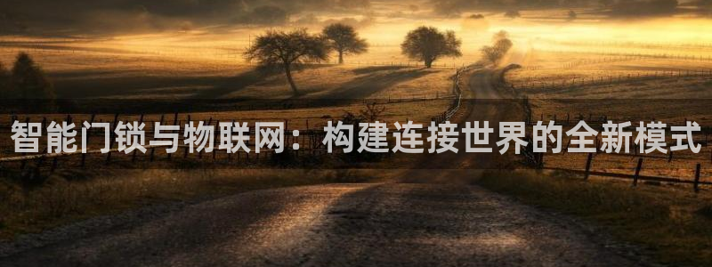 开丰娱乐开户：智能门锁与物联网：构建连接世界的全新模式