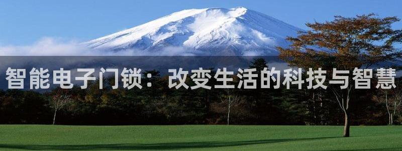开丰娱乐后7O667：智能电子门锁：改变生活的科技与智慧