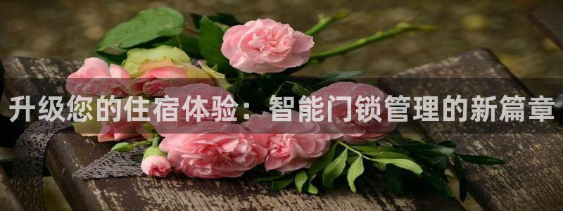 开丰娱乐登录官方网站：升级您的住宿体验：智能门锁管理的新篇章