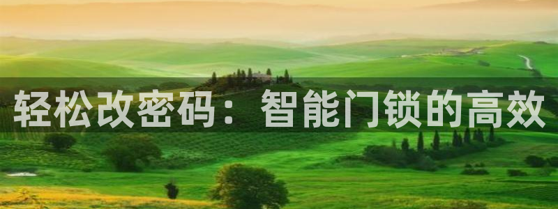 开丰娱乐左：轻松改密码：智能门锁的高效