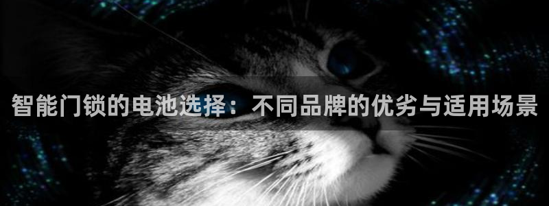 开丰娱乐网站官网入口：智能门锁的电池选择：不同品牌的优劣与适