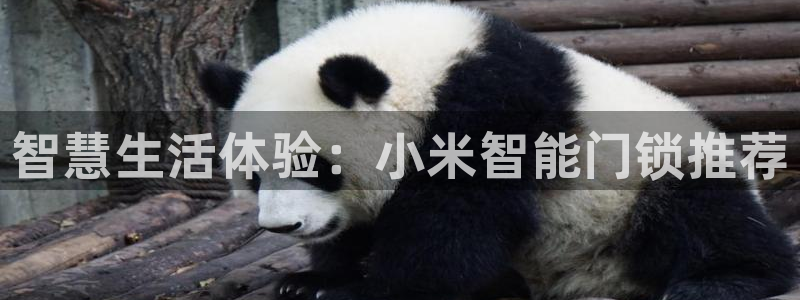 开丰娱乐注册电7O777：智慧生活体验：小米智能门锁推荐