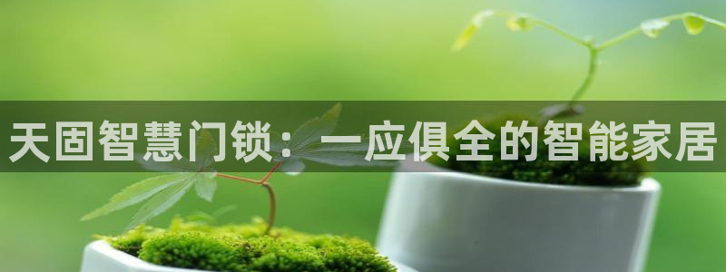 开丰娱乐注册资金多少：天固智慧门锁：一应俱全的智能家居