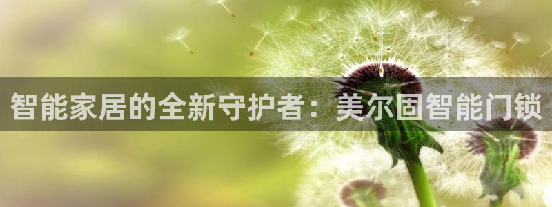 开丰娱乐左：智能家居的全新守护者：美尔固智能门锁