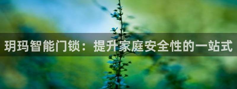 开丰娱乐测速：玥玛智能门锁：提升家庭安全性的一站式