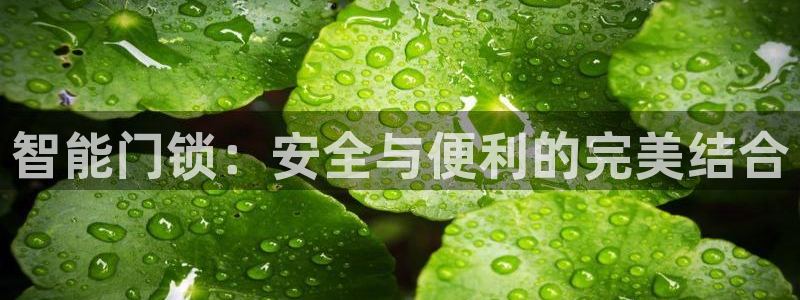 开丰娱乐注册登录：智能门锁：安全与便利的完美结合