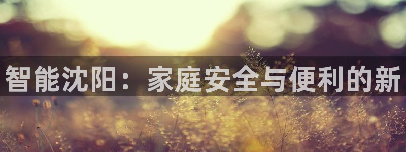 开丰娱乐开户：智能沈阳：家庭安全与便利的新