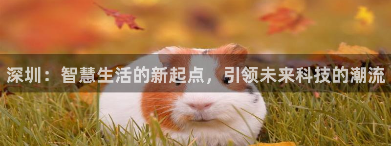 开丰娱乐app：深圳：智慧生活的新起点，引领未来科技的潮流