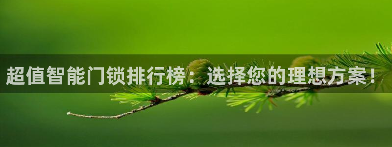 开丰娱乐主管：超值智能门锁排行榜：选择您的理想方案！