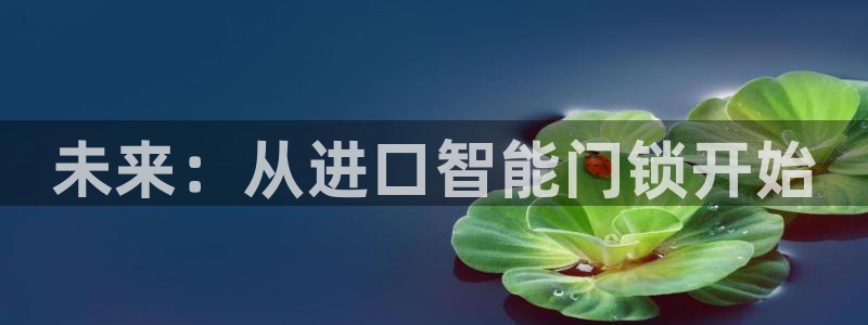开丰娱乐月：未来：从进口智能门锁开始
