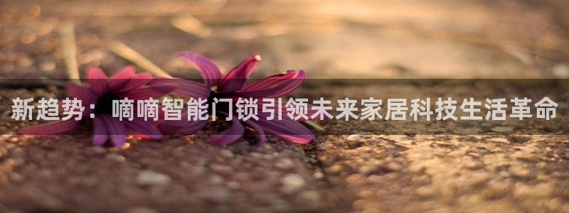 开丰娱乐上7O667：新趋势：嘀嘀智能门锁引领未来家居科技生