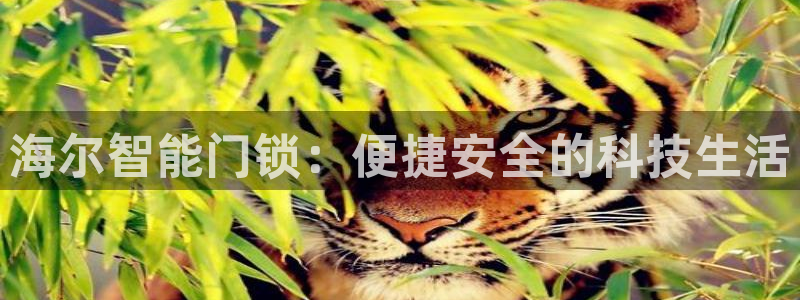 开丰娱乐手机app：海尔智能门锁：便捷安全的科技生活