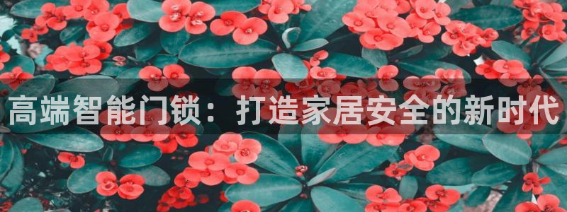 开丰娱乐网官网注册入口：高端智能门锁：打造家居安全的新时代