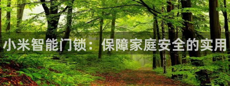 开丰娱乐万六七五一38：小米智能门锁：保障家庭安全的实用