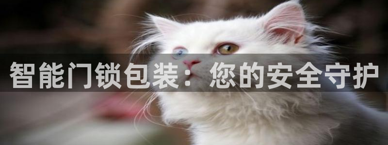 开丰娱乐右7O667：智能门锁包装：您的安全守护