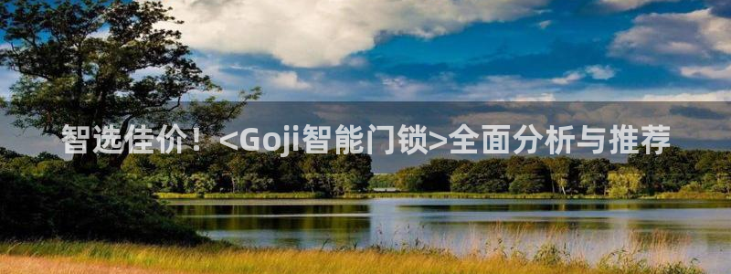 开丰娱乐登入地址查询：智选佳价！<Goji智能门锁>全面分析
