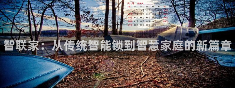 开丰娱乐登入地址在哪里：智联家：从传统智能锁到智慧家庭的新篇