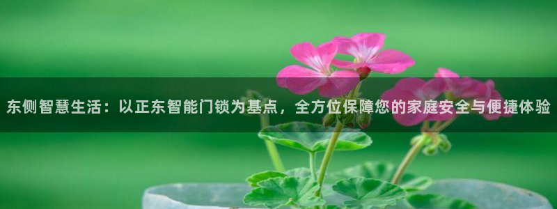 开丰娱乐趣 7O935：东侧智慧生活：以正东智能门锁为基点，