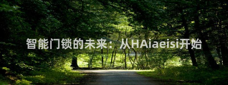 开丰娱乐平台官网登录：智能门锁的未来：从HAiaeisi开始
