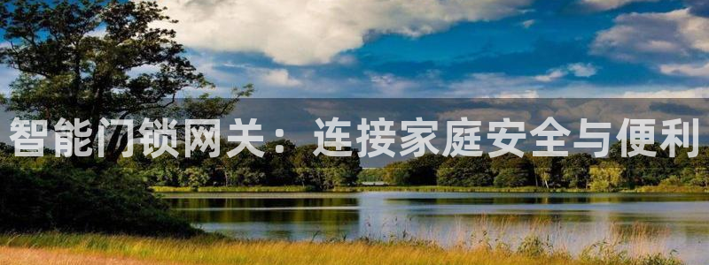 开丰娱乐趣 7O935：智能门锁网关：连接家庭安全与便利