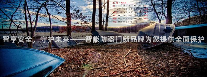 开丰娱乐注册登录：智享安全，守护未来——智能防盗门锁品牌为您
