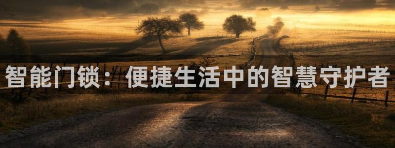 开丰娱乐靠谱吗：智能门锁：便捷生活中的智慧守护者