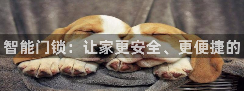 开丰娱乐官网登录网址：智能门锁：让家更安全、更便捷的