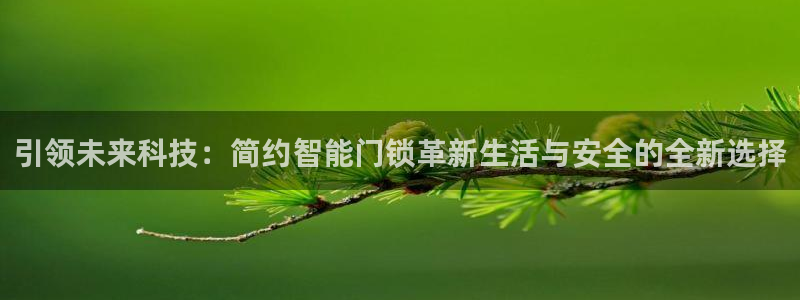 开丰娱乐更多平台：引领未来科技：简约智能门锁革新生活与安全的