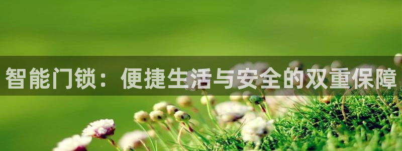 开丰娱乐与六七五一38：智能门锁：便捷生活与安全的双重保障