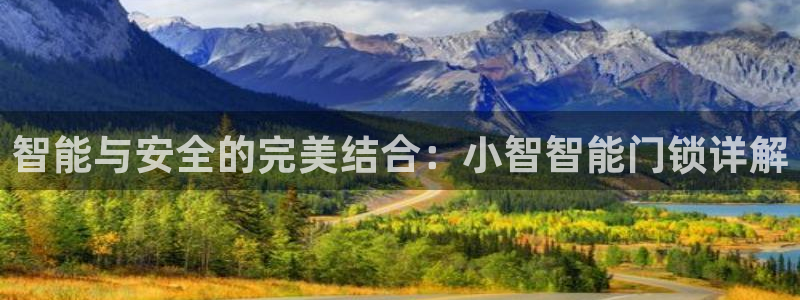 如何注册开丰娱乐账号：智能与安全的完美结合：小智智能门锁详解