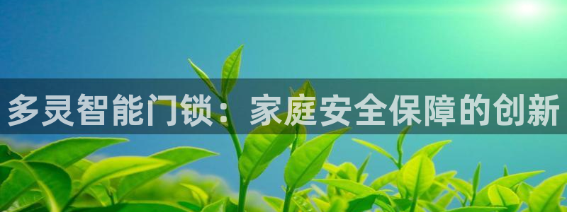 开丰娱乐官网平台电话：多灵智能门锁：家庭安全保障的创新