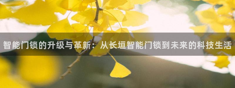 开丰娱乐怎么开转点：智能门锁的升级与革新：从长垣智能门锁到未