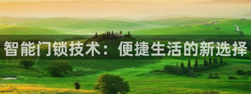 开丰娱乐 赢咖一：智能门锁技术：便捷生活的新选择