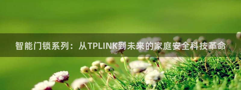 开丰娱乐联系q徽22212：智能门锁系列：从TPLINK到未