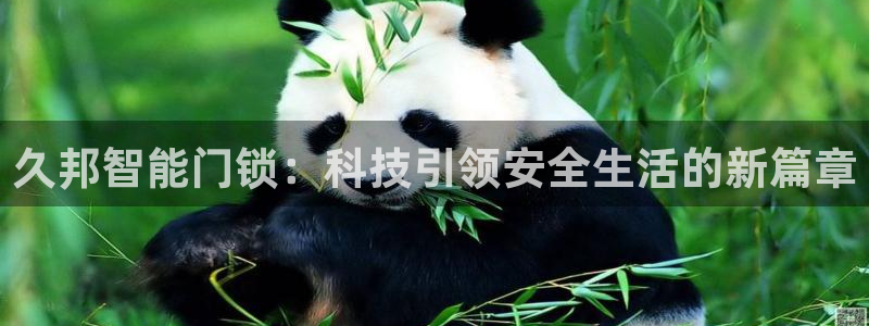 开丰娱乐67 5138：久邦智能门锁：科技引领安全生活的新篇