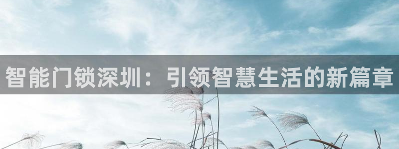 开丰娱乐会员中心：智能门锁深圳：引领智慧生活的新篇章