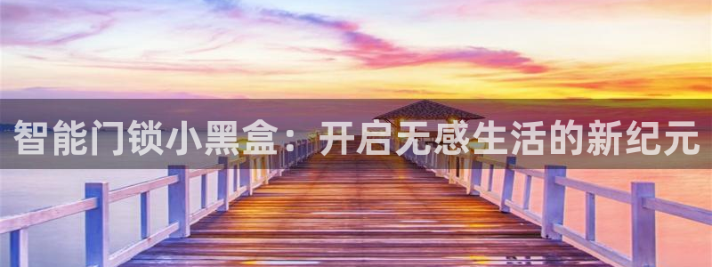 开丰娱乐登录网址：智能门锁小黑盒：开启无感生活的新纪元