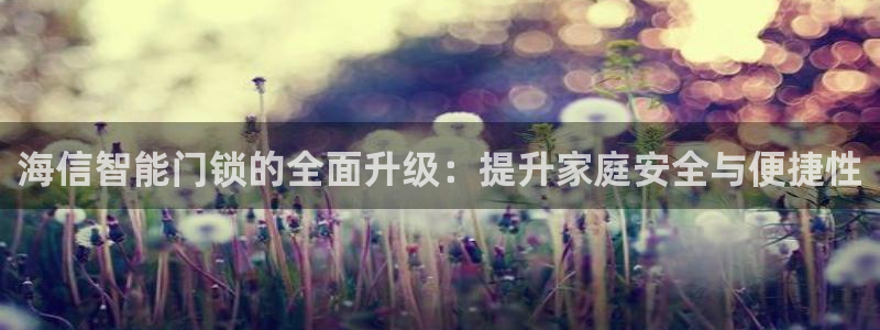 开丰娱乐左：海信智能门锁的全面升级：提升家庭安全与便捷性